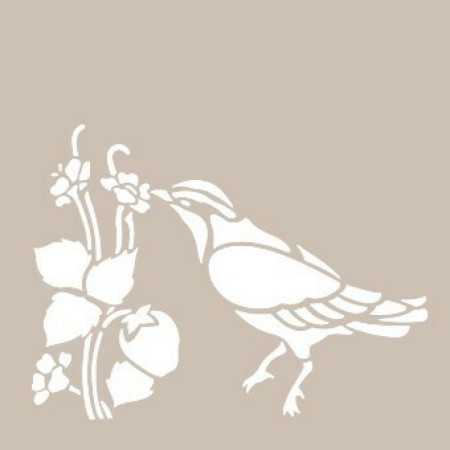 Bird Model D1110 15x20 D Series Stencil