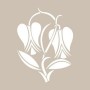 Tulip Model D1112 15x20 D Series Stencil