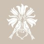 Bird Tulip Model D1114 15x20 D Series Stencil