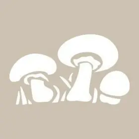 O37 10x15 O Serisi Stencil