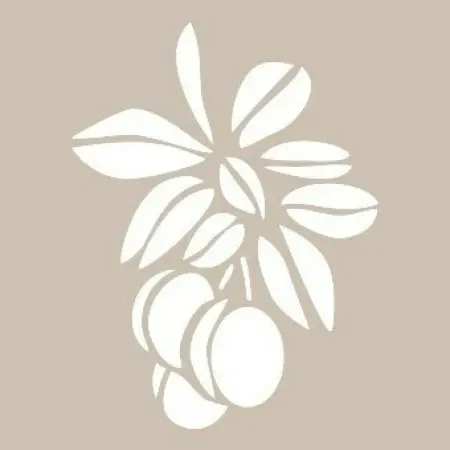 O72 10x15 O Serisi Stencil