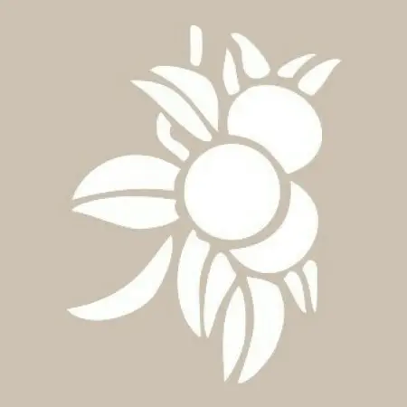 O90 10x15 O Series Stencil