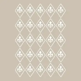 Baklava Model BN22 25x35 BN Serisi Stencil