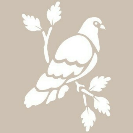 Pigeon Model BN42 25x35 BN Series Stencil