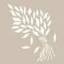 Bouquet Model BN84 25x35 BN Series Stencil