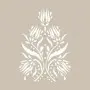 Tulip Model BN137 25x35 BN Series Stencil