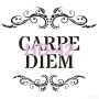 Text Model HD42 Home Decor 45x45 Stencil