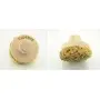 Cadence  Round buffer effect sponge